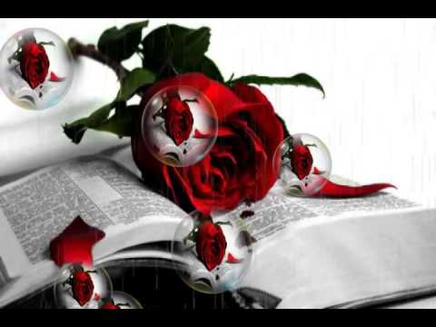 by:Velibor Janićijević---- SAMO ZA NJU KOJE VIŠE NEMA TU I NIKADA VIŠE BITI NEĆE