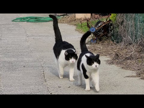 [#266] 아빠 어디가