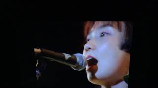 Shonen Knife    Kappa Ex