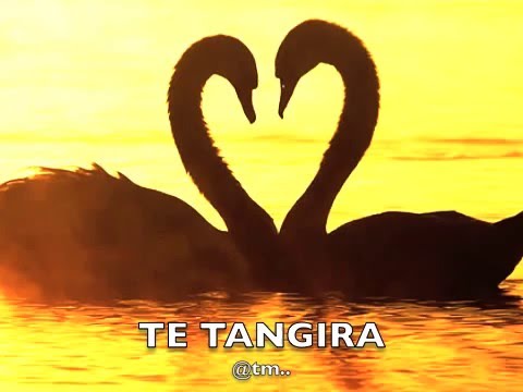 KAMMARAKI TE TANGIRA_Nariki_KRAT81 Production - Kiribati@tm..