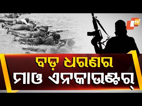 12 Maoists Killed During Encounter With Security Forces in Chhattisgarh's Bijapur