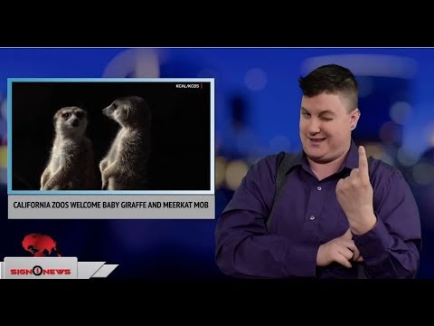 California zoos welcome baby giraffe and meerkat mob (ASL - 3.16.18)