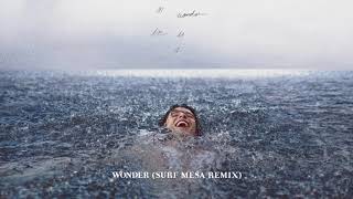 Shawn Mendes - Wonder (Surf Mesa Remix / Audio)