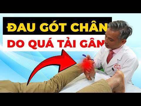 Đau Gót Chân Không Thể Đi? Cảnh Báo Gân Achilles Quá Tải -Giải Pháp Hiệu Quả