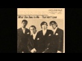 King Bees - I Want My Baby .(1966).***