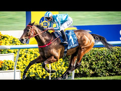 [Stewards’ Cup 2026] Race Replay