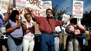 Everything's Normal In Venice