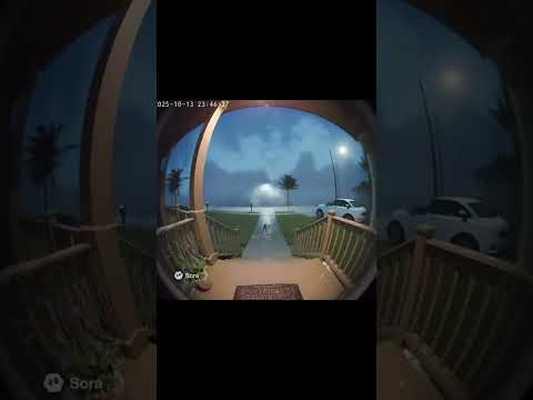 OMG POOR MONKEY #tsunami #sora #animals