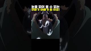 👉눈물 없이 볼 수 없는 쿠마가 아빠가 된 이유! #onepiece #원피스