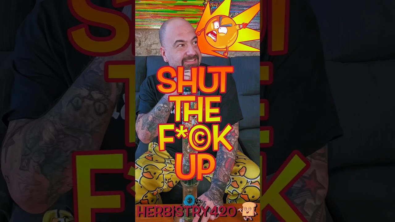 When You Think Youre Funny: 5 Best Stoner Moments