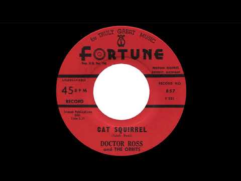 Doctor Ross "Cat Squirrel" (1961)