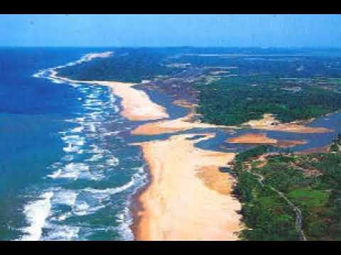 Colored dissolved organic matter | Wikipedia audio article