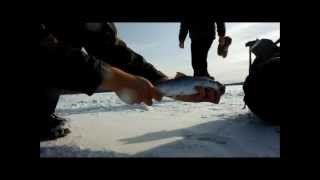 Ice Fishing With the Gang 2/23/2013