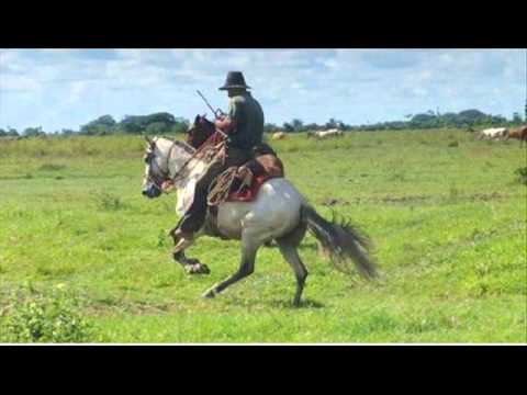FG Llanero Esteban Zapata - Luis Lozada El Cubiro