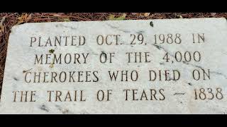 Cemeteries and headstones from the back roads