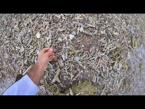 Solo Hootchie camping on mini island   Kayaking   Beach Shark fishing       15