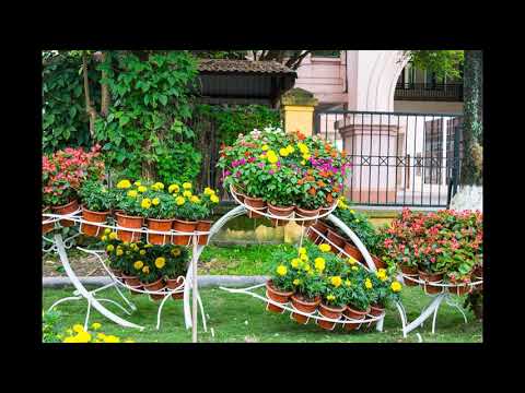 download lagu mp3 mp4 Tree Nursery Birmingham Al, download lagu Tree Nursery Birmingham Al gratis, unduh video klip Tree Nursery Birmingham Al