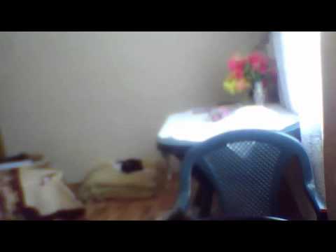 fitim azemi's Webcam Video from May  6, 2012 04:08 AM