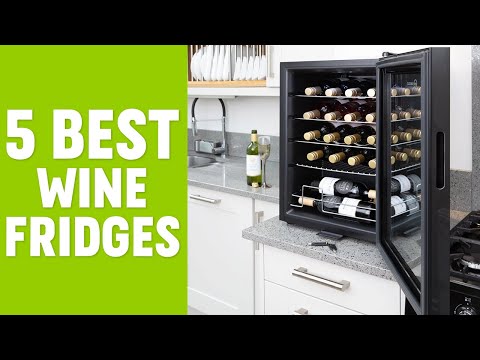 5 Best Wine Fridge and Wine Cooler for Home