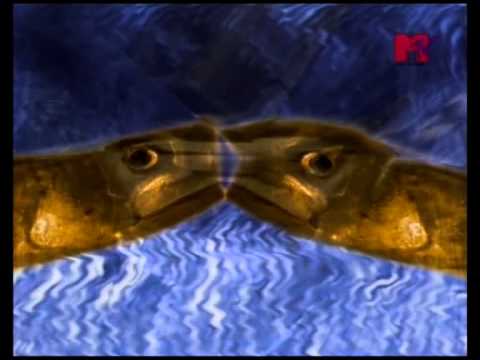 VIDEODANCE '90   U s u r a    Open Your Mind