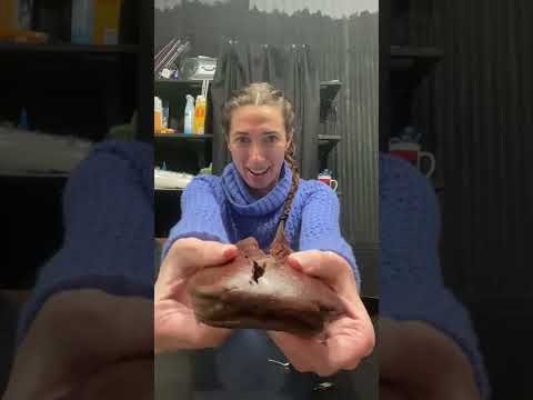 This store has 45 different flavors of WHOOPIE PIE!