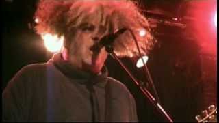 Melvins - The Bloated Pope (live in France, 2007)