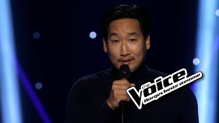 Niklas Jung Hansen | Miracle Love (Matt Corby) |Blind auditions | The Voice Norway
