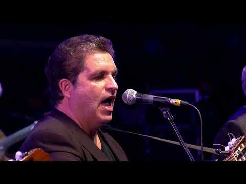 Zamba de Alberdi por Los 4 de Córdoba en Jesús María - Festival País 2022