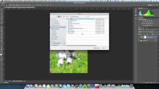 preview picture of video '#23 - Color Lookup - Einstellungsebene (Photoshop Step by Step) - caphotos.de'