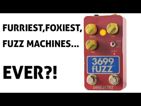 Danelectro 3699 Fuzz Demo — Furriest, Foxiest, Fuzz Machines Ever?!