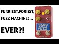 Danelectro 3699 Fuzz Demo — Furriest, Foxiest, Fuzz Machines Ever?!