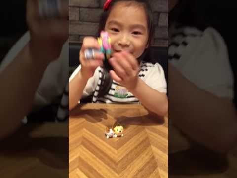 Shermaine's introduction: An introduction to a pack of Chubby Puppies