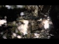 David Sylvian - Darkest Dreaming