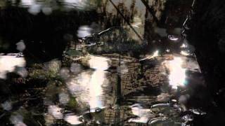 David Sylvian - Darkest Dreaming