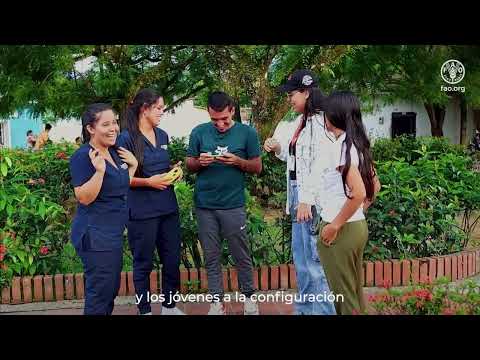 Juventud que transforma: voces y acciones desde Nortede Santander