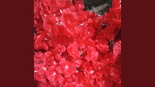 Download lagu Kucing garong mp3 Download lagu Kucing garong mp3