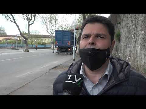 Pistoia. Taglio di 20 platani, malati o compromessi, lungo viale Matteotti