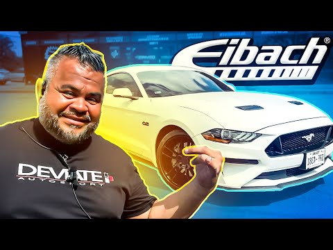 Mustang GT Eibach Pro-Kit Lowering Springs Installation