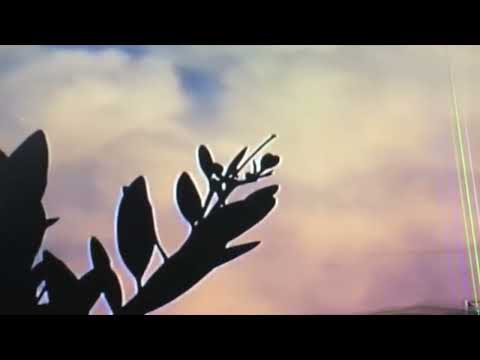 [FREE] CLOUD RAP x AMBIENT TYPE BEAT - "HALCION" (prod. by 8MVLES)