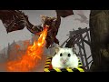 Hamster in Roller Coaster with Fire Breathing Dragon
