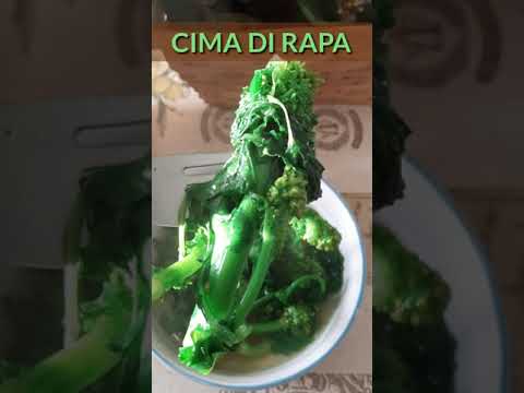Cime di Rapa、茎キャベツ 植物