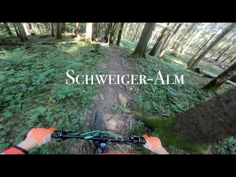 Schweiger Alm MTB (Bad Tölz) #8