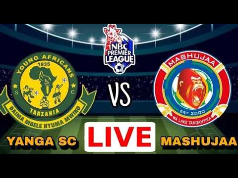 🔴LIVE: UCHAMBUZI LIGI KUU YANGA SC VS MASHUJAA FC I MASHABIKI WA YANGA WAMJIA JUU ERG.HERSI