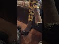 heel and toe tapping Platform pumps