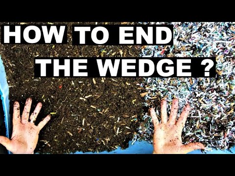 European Night Crawler Compost Worms