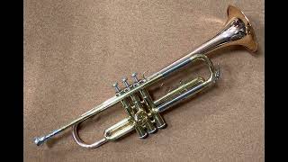 Video thumbnail for 【トランペット】YAMAHA  YTR-332　Trumpet by マウスピースコレクションたまにネコも