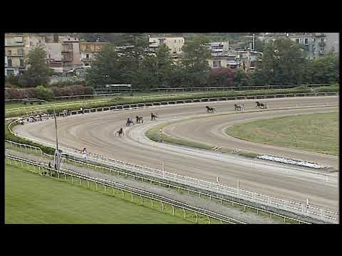 Trotto 17/07/2020 - 2ª prova di qualifica