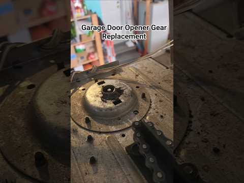 Garage door opener gear replacement — GDS Ottawa