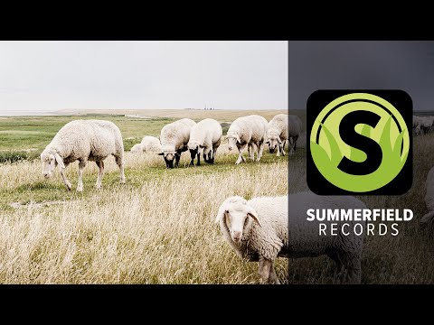 Ronny Becker & Walter Frosch JR. - Wochenende an der Waterkant