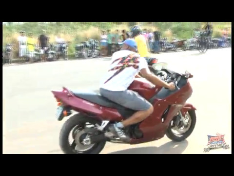 DVD AMERICAN PIE FESTA AUTOMOTIVA 2013